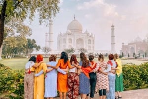 Hopp over køen Taj Mahal og Agra Fort - privat omvisning