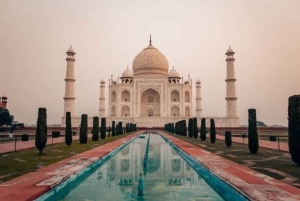 Tour privato del Taj Mahal e del Forte di Agra, senza code