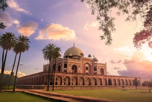 From Agra: Ranthambore, Jaipur & Delhi Multi - Day Tour