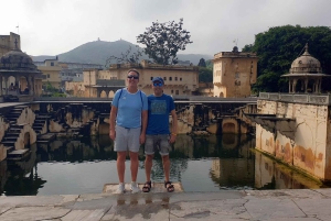 From Agra: Ranthambore, Jaipur & Delhi Multi - Day Tour