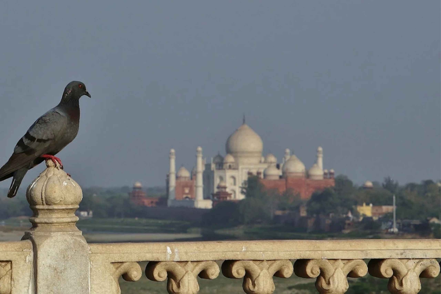Von Agra: Geführte Tour zum Taj Mahal, Agra Fort & Baby Taj