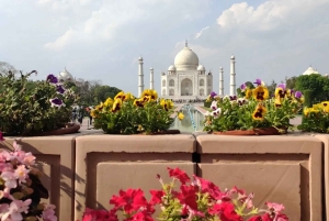 Von Agra: Geführte Tour zum Taj Mahal, Agra Fort & Baby Taj