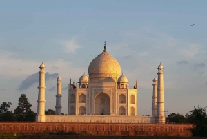 From Agra: Taj Mahal, Fatehpur Sikri & Bird Safari Tour