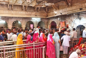From Bikaner: Rat Temple Tour with Drop-off at Jodhpur