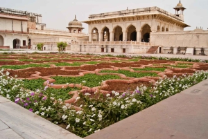 Fra Delhi: 2-dagers privat tur til Agra og Jaipur i den gylne trekant