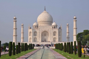 Fra Delhi: 2-dagers tur til Agra og Jaipur i Det gylne triangelet