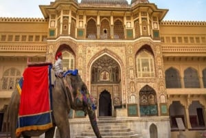 Vanuit Delhi: tweedaagse privérondleiding door Jaipur