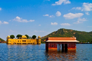 Da Delhi: Tour di 2 giorni di Jaipur con palazzi, fortezze e cultura