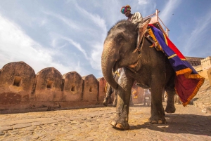 Från Delhi: Privat 2-dagars tur till Agra och Jaipur