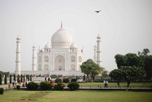 Fra Delhi: 2-dages privat tur til Agra og Jaipur