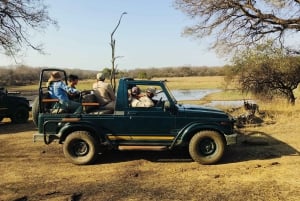 Z Delhi: 2-dniowa, 1-dniowa wycieczka Ranthambore Tiger Safari Tour