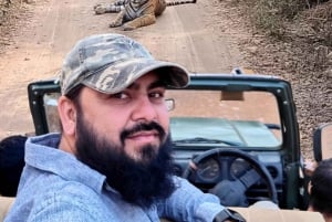 Von Delhi aus: 2-tägige Jaipur-Tour mit Ranthambore-Tigersafari