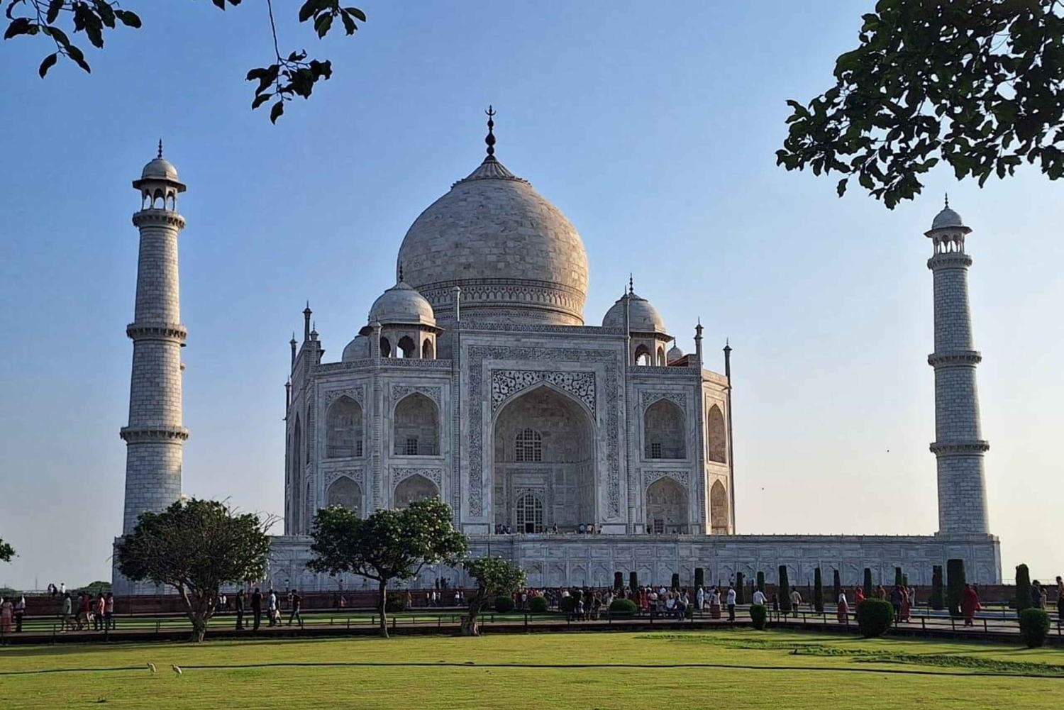 Från Delhi: 3-dagars vildmarkstur i Agra, SOS och Ranthambore