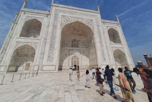 Från Delhi: 3-dagars vildmarkstur i Agra, SOS och Ranthambore