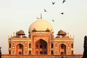 Desde Delhi: Tour del Triángulo Dorado de 3 días con hoteles