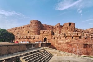 Z Delhi: 3-dniowa wycieczka do Tadź Mahal, wizyta w SOS i safari z tygrysami