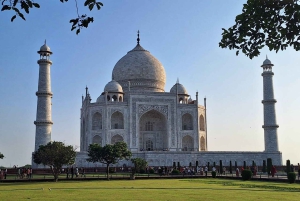 Ab Delhi: 3-tägige Taj Mahal, SOS-Besuch & Tiger-Safari-Tour