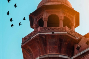 Au départ de Delhi : circuit de 3 jours et 2 visites nocturnes (New Delhi, Agra, Jaipur)