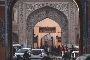 Desde Delhi: tour de 3 días por el Triángulo Dorado con safari de tigres