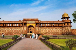 Från Delhi: All Inclusive flerdagars Golden Triangle-tur