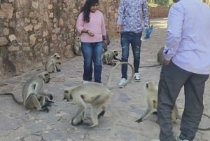 From Delhi: 3 Days Golden Triangle Tour