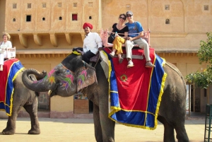 Da Delhi: Tour di 3 giorni di Jaipur e Ranthambore Wildlife Safari