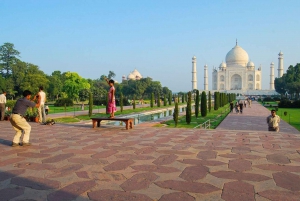 From Delhi: 4-Day Golden Triangle & Ranthambore Tiger Safari