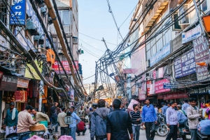 From Delhi: 4-Day Golden Triangle & Ranthambore Tiger Safari