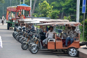 From Delhi: 4-Day Golden Triangle & Ranthambore Tiger Safari
