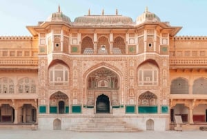 Fra Delhi: 4-dagers Golden Triangle & Ranthambore Tiger Safari