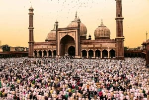 デリー発:4日間ゴールデン・トライアングル&ランタンボル・タイガー・サファリ