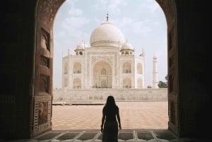 デリー発:4日間ゴールデン・トライアングル&ランタンボル・タイガー・サファリ