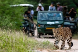 Da Delhi: Tour di 4 giorni del Triangolo d'Oro con safari al leopardo