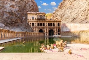 Ab Delhi: 4-tägige private Golden Triangle Tour mit Optionen