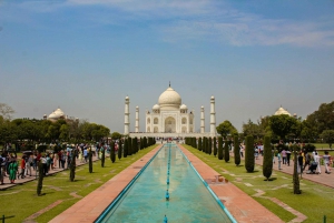 Desde Delhi: Safari en Tigre de 4 días y Viaje al Triángulo de Oro