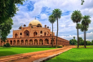Ab Delhi: 4-tägige Tigersafari & Goldenes Dreieck Tour