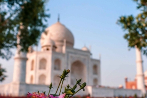 Desde Delhi: Tour del Triángulo Dorado de Delhi, Agra y Jaipur