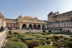 Desde Nueva Delhi: Safari en Tigre de 5 días y Viaje al Triángulo de Oro