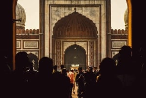 Ab Neu-Delhi: 5-tägige Tigersafari & Goldenes Dreieck Tour