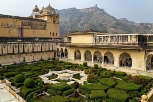 Ab Neu-Delhi: 5-tägige Tigersafari & Goldenes Dreieck Tour