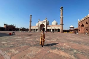 Fra Delhi: 5-dagers Golden Triangle Delhi, Agra og Jaipur-tur