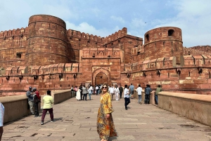 デリー発：5 日間のゴールデン トライアングル デリー、アーグラ、ジャイプール ツアー