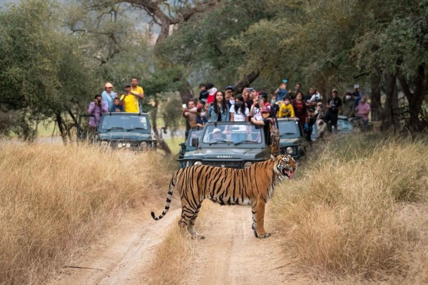 Da Delhi: 6 giorni di Triangolo d'Oro e safari con le tigri di Ranthambore