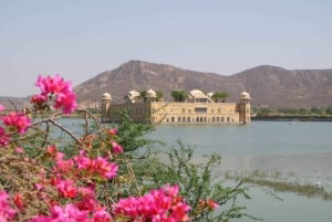 Desde Delhi: Excursión de 6 días al Triángulo de Oro con Ranthambore