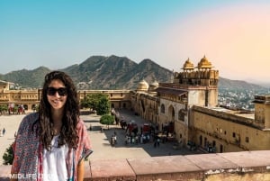 Desde Delhi: Excursión de 6 días al Triángulo de Oro con Ranthambore