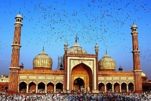 Fra Delhi: 5-dages tur til Den gyldne trekant med bil + afhentning + guide