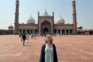 Fra Delhi: 5-dages tur til Den gyldne trekant med bil + afhentning + guide