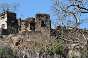 Ab Delhi: 6-tägige Tour zum Goldenen Dreieck mit Ranthambore