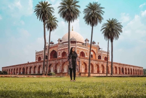 Ab Delhi: 6-tägige Tour zum Goldenen Dreieck mit Ranthambore