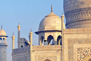 Ab Delhi: 6-tägige Tour zum Goldenen Dreieck mit Ranthambore